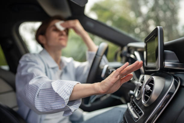 Best Thermostats and Smart Controls in Point Venture, TX
